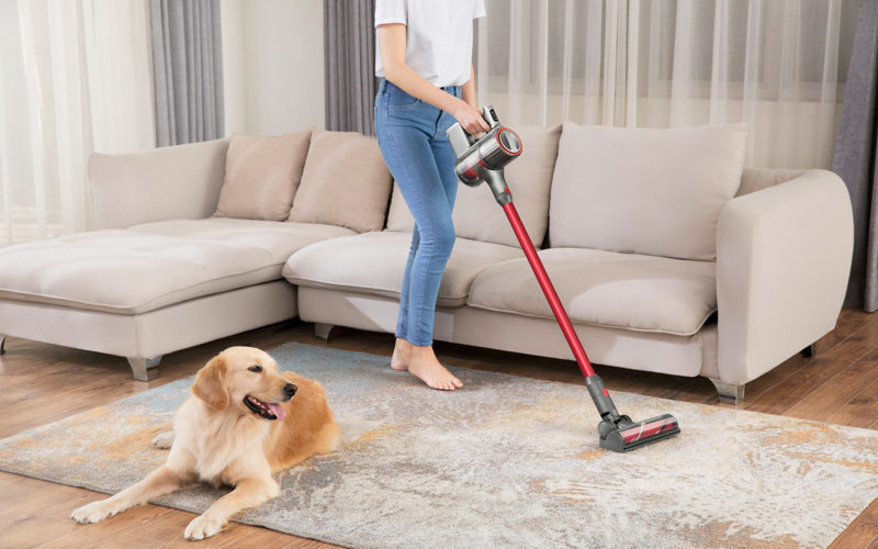 Ways To Get Dog Hair Out Of Carpet