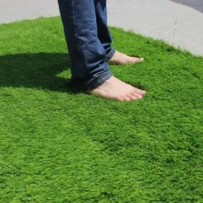 Grass Carpet Dubai