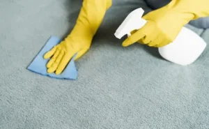 Carpet Protection During Parties
