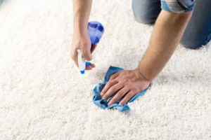 Dealing with Stains and Odors