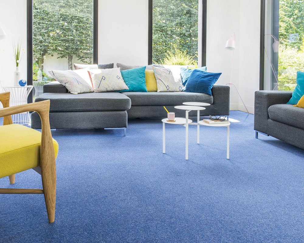 Blue Carpets