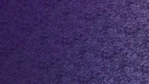 Purple Carpet Cultural