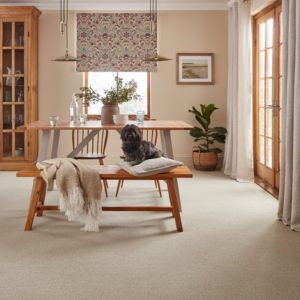 Living Room Carpets