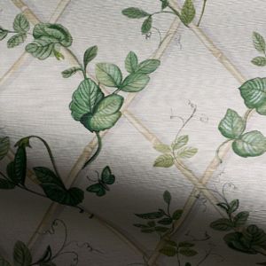 Petite Ivy Grasscloth Wallpaper