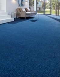 PVC Carpet