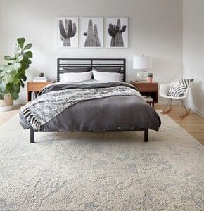 Down To Earth Grey Carpets