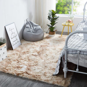 Living Room Shaggy Carpet