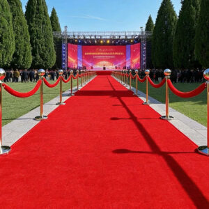 Royal Stage Carpet