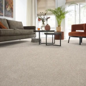 Vision Luxury Saxony Living Room Carpet