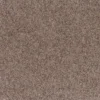 beige-primavera-carpet-tiles-far_1600x1600.webp