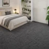 carpet-lifestyle