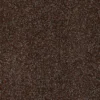 dark-brown-outdoor-carpet-far_1600x1600-1.webp