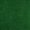 dark-green-outdoor-carpet-small_1600x1600-1.webp