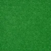 light-green-outdoor-carpet-small_1600x1600-1.webp