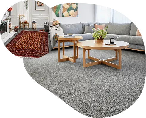 Free Carpet Installation